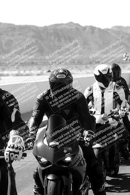 media/Mar-08-2025-TrackXperience (Sat) [[277b597a28]]/1-Around the Pits - Pre Grid/